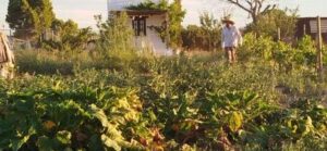 La Huerta
